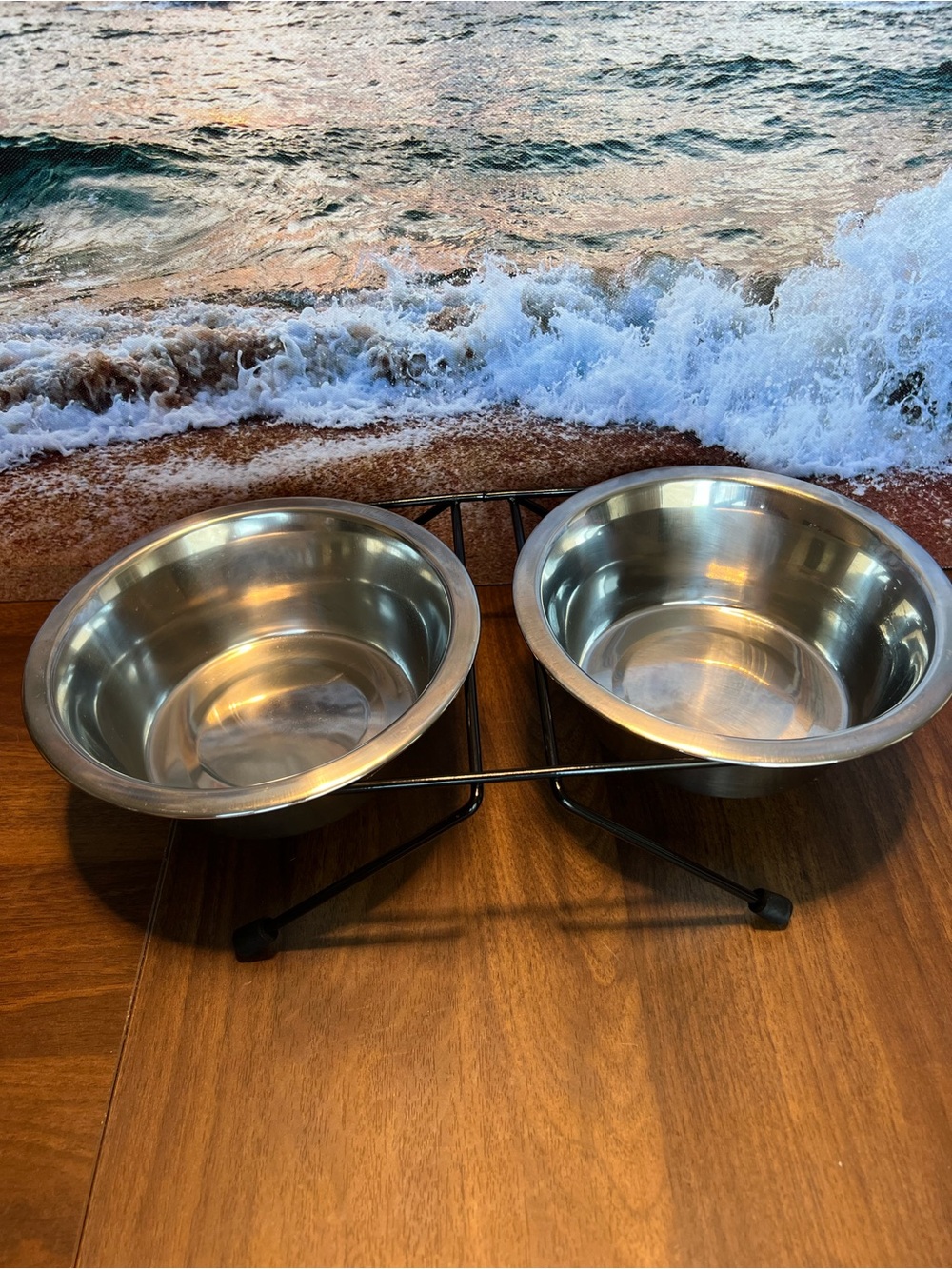 Double Stainless Steel Pet Bowl Set with Black Elevated Stand